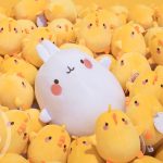 خرگوش مولانگ 🐰